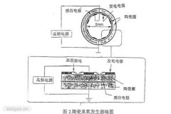 影響臭氧發(fā)生的主要因素有哪些？